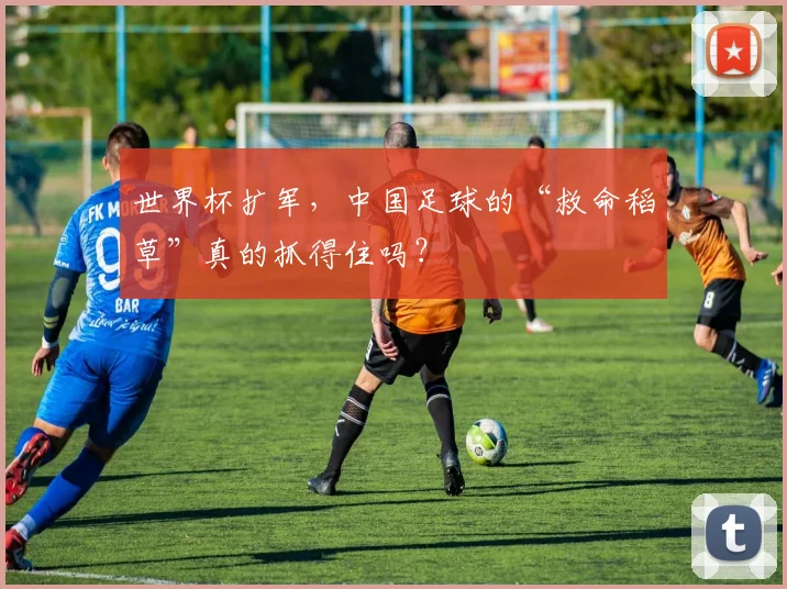 世界杯扩军，中国足球的“救命稻草”真的抓得住吗？
