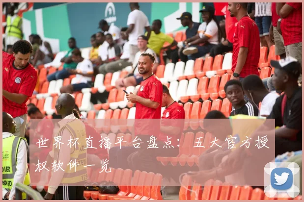 世界杯直播平台盘点：五大官方授权软件一览