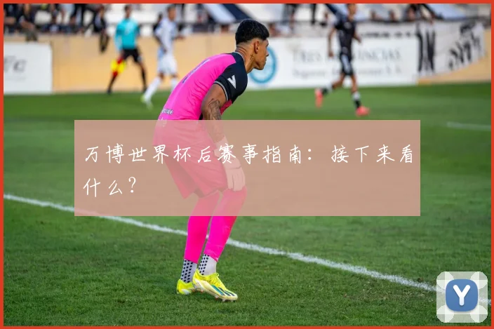 万博世界杯后赛事指南：接下来看什么？