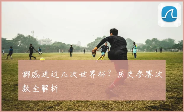 挪威进过几次世界杯？历史参赛次数全解析