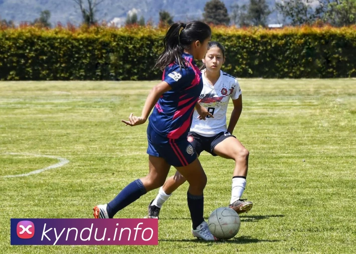 九游在线官方官网品牌故事